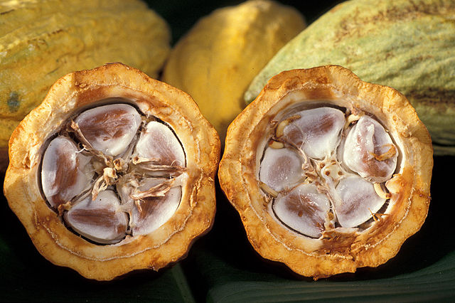 640px-Cacao-pod-k4636-14