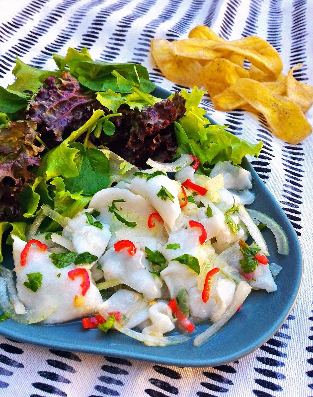 CevicheDeCoco_CozinhandoPara2ou1